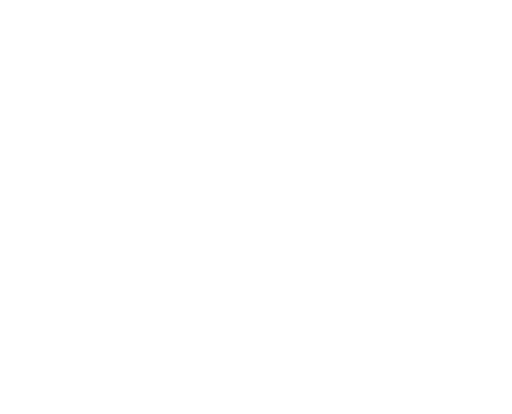 Mr Wellington